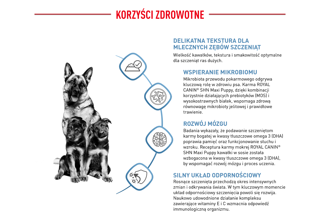 ROYAL CANIN Maxi Puppy in souce 10x140 g